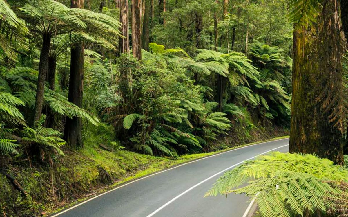 Black Spur Drive